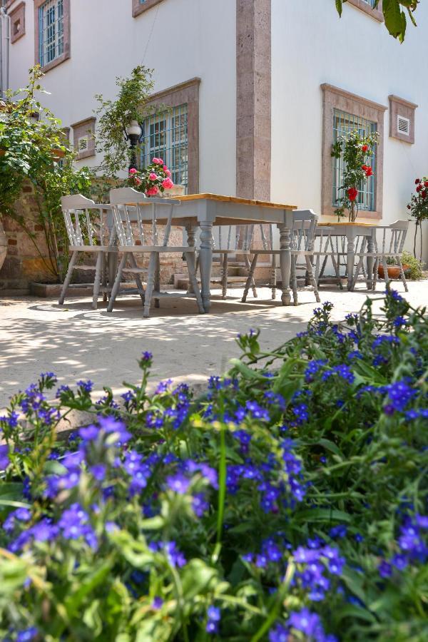Ayvalı Lunaria Guest House מראה חיצוני תמונה